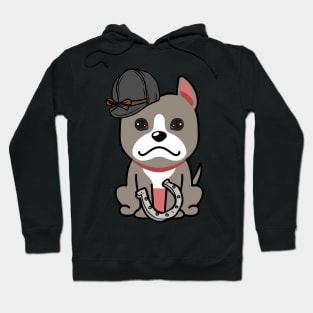 Funny grey dog is ready to ride a horse Hoodie